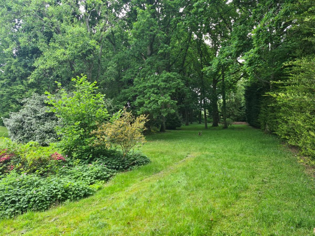 The Whole With Private And Gardens Apartment Reading