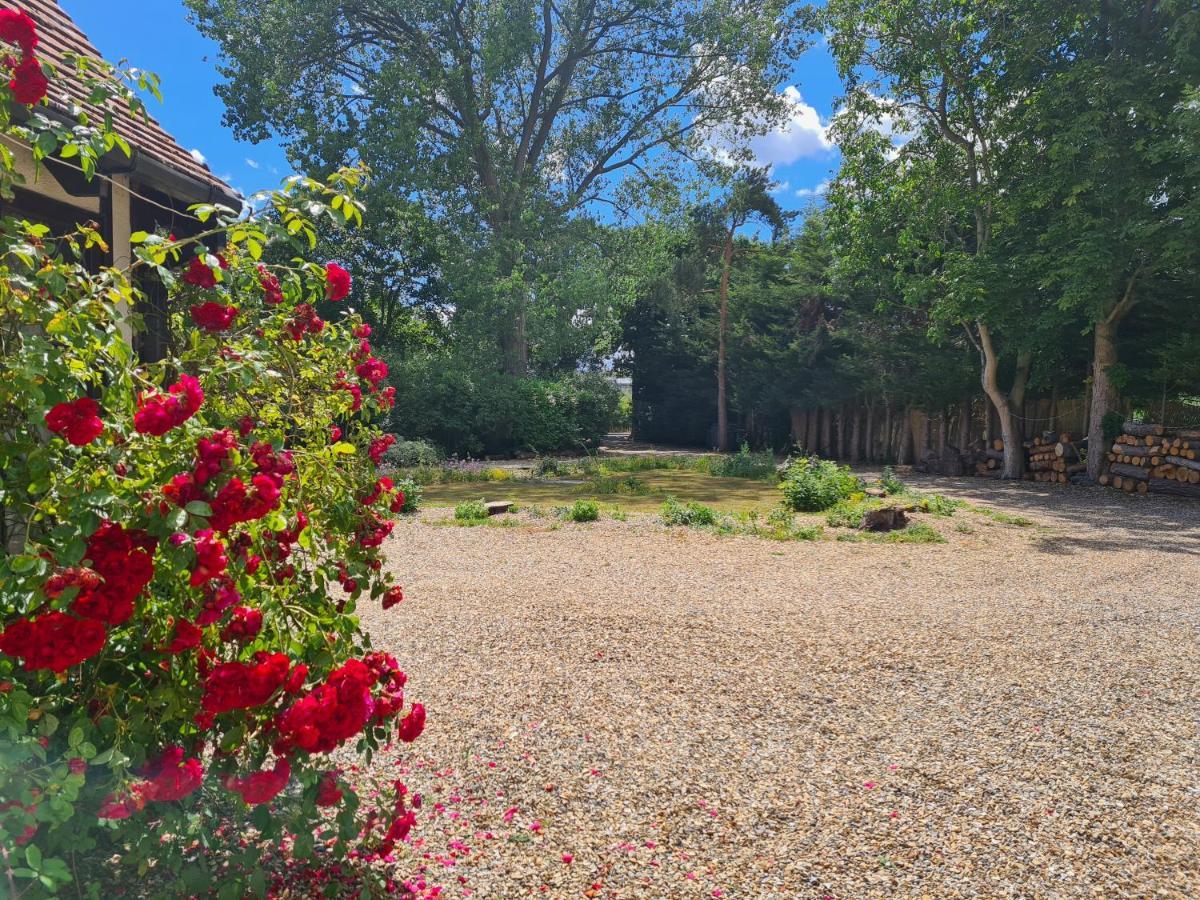 The Whole With Private And Gardens Apartment *