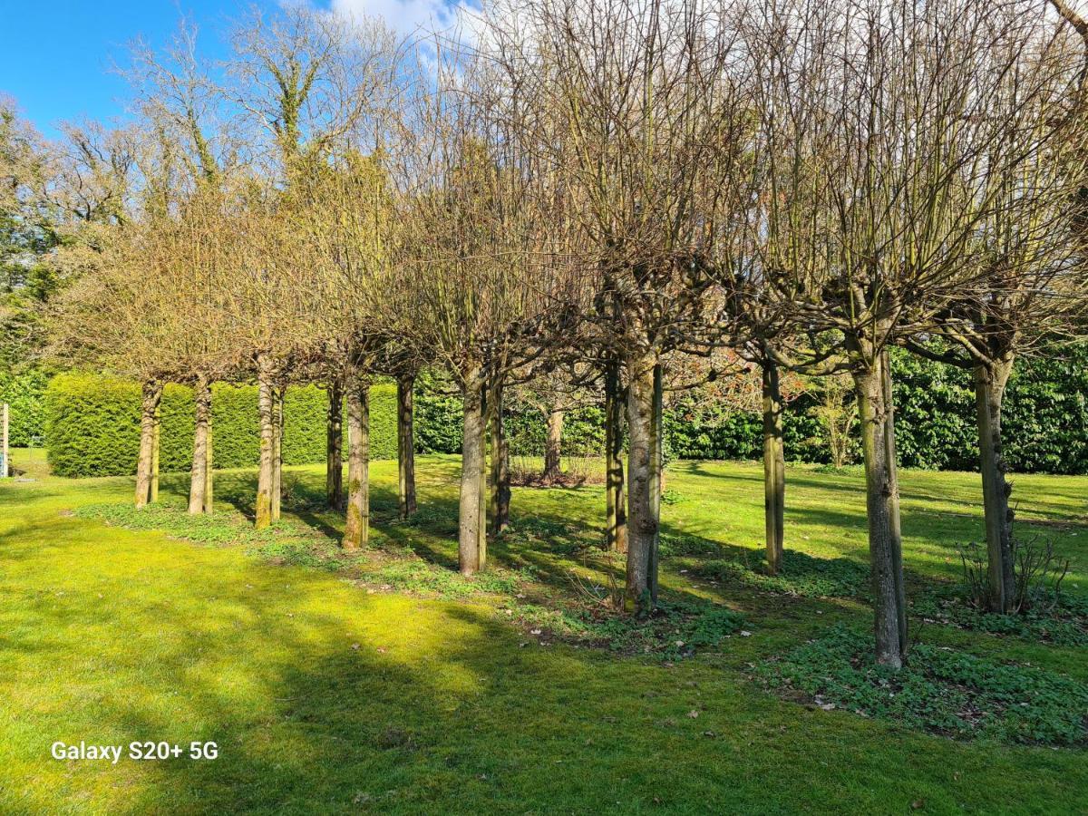 The Whole With Private And Gardens
